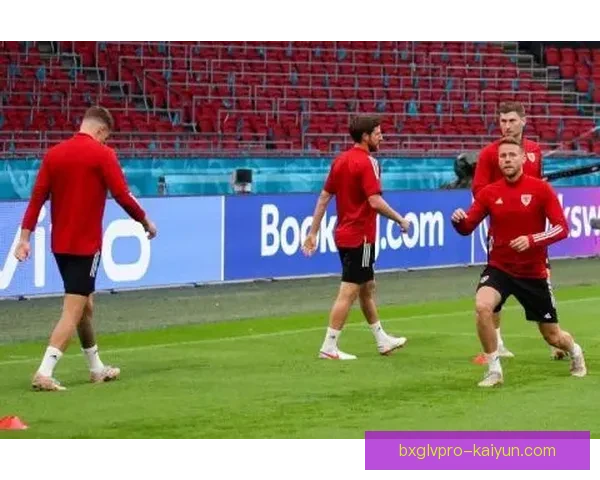 克鲁伊夫在欧洲杯上的表现值得关注，展现出稳健的竞技状态